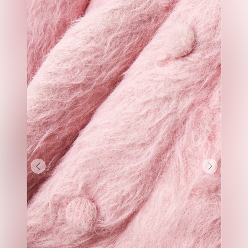 Dries Van Noten Oversized Brushed Wool-Blend Coat — Runway Edition Size M $3715 - Picture 5 of 11